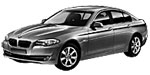 BMW F10 P2583 Fault Code